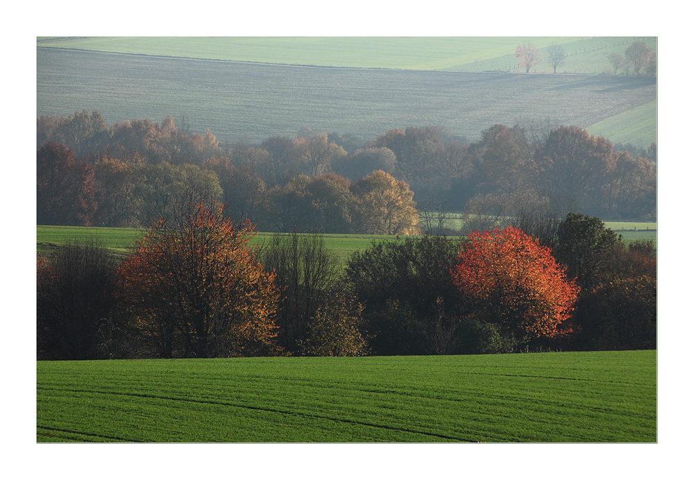 Während das Herbstlaub in letzter Glut aufleuchtet...