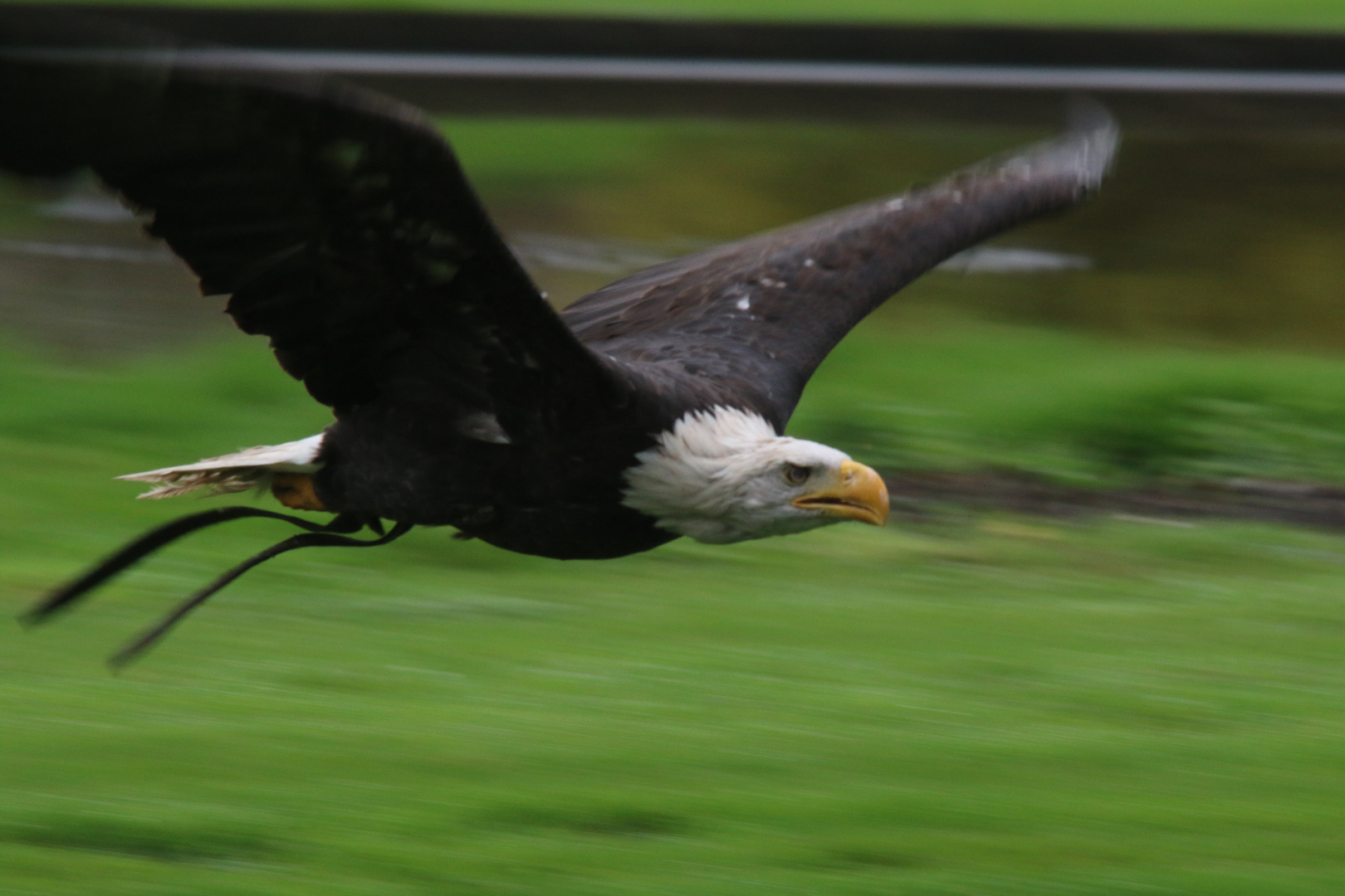 Während der Flugshow 