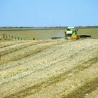 Während im heißen Castilla y León die Ernte eingebracht wird ...