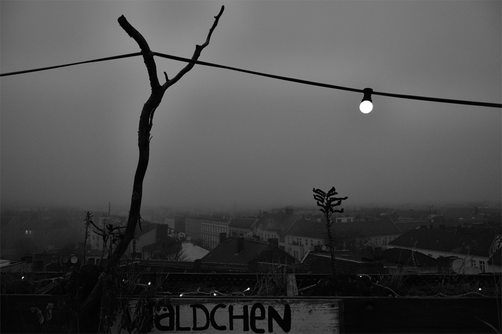 Wäldchen