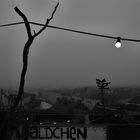 Wäldchen