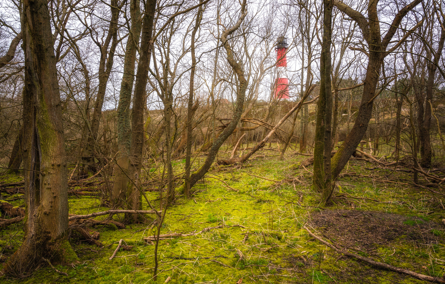 Wäldchen am Leuchtturm - Hörnum