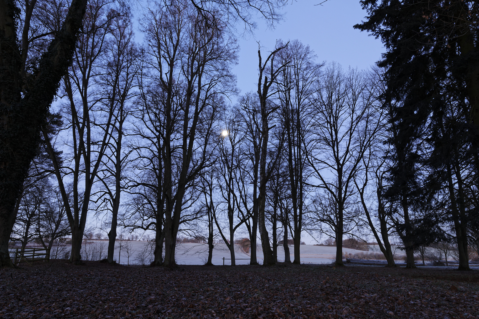 Wäldchen bei Schloß Eisenbach