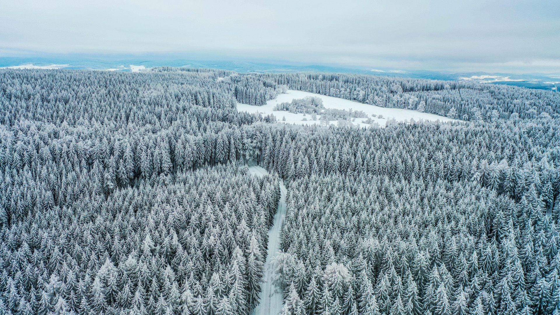 Wälder um die Fuchsbrunnbrücke