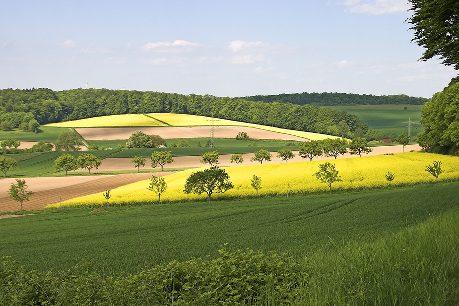 Wälder und Felder