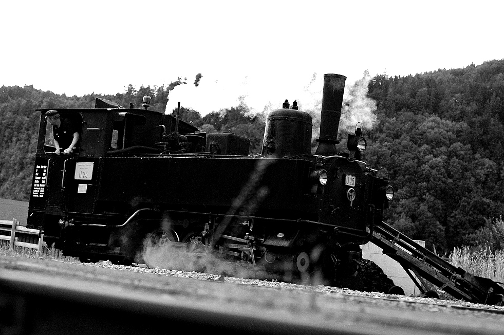 Wälderbahn im Bahnhof Bezau