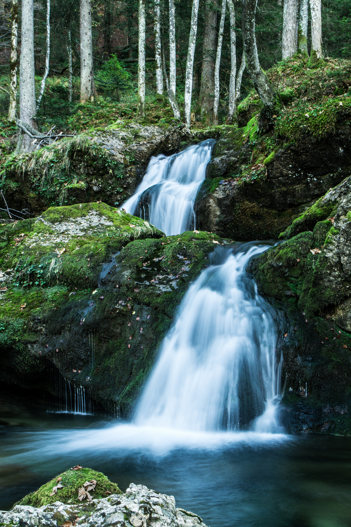 Wängibach 2