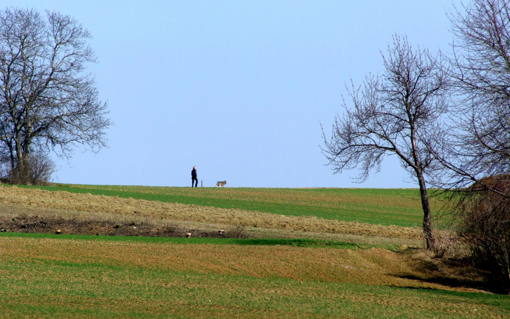 . . "wäre der . . ". .