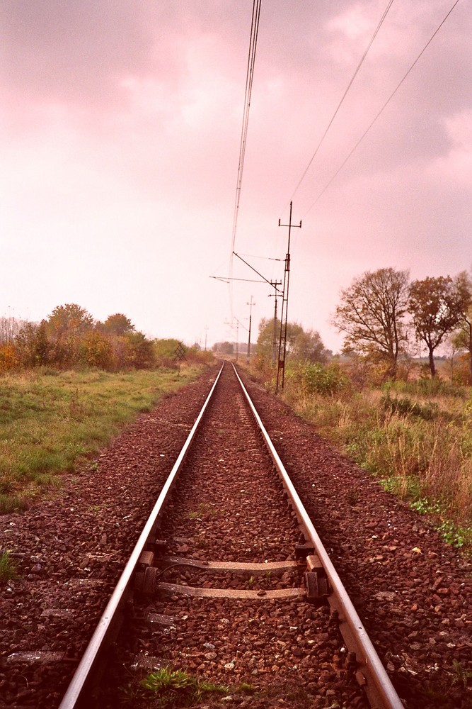 Wäre es in diesen melancholischen Landschaften gewesen ....