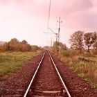 Wäre es in diesen melancholischen Landschaften gewesen ....