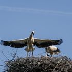 Wäre ich ein Flugzeug...