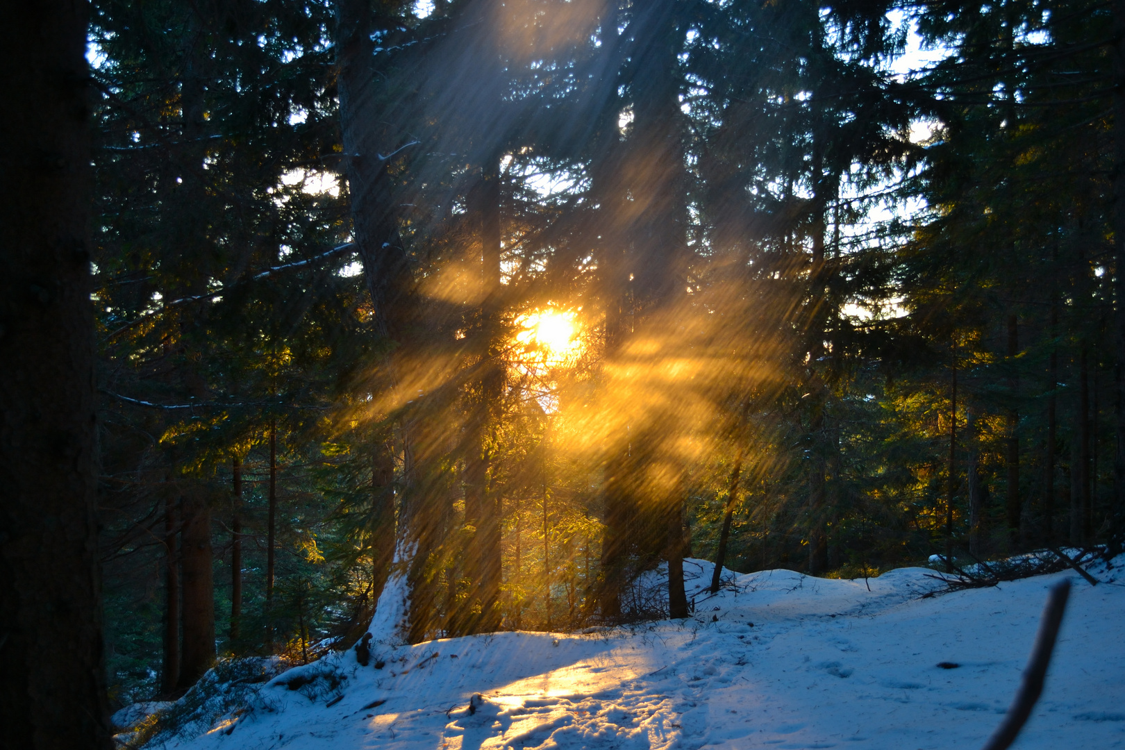 Wärmande Sonnenstrahlen im Schnee