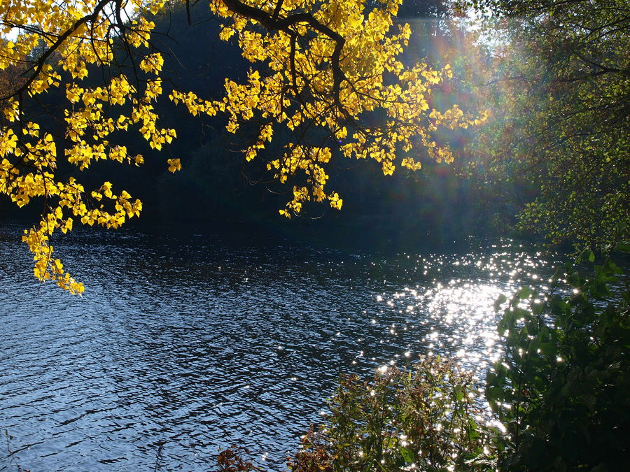 Wärme am Mühlenteich