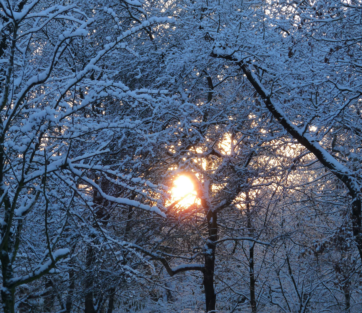 Wärme im Schnee