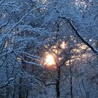 Wärme im Schnee