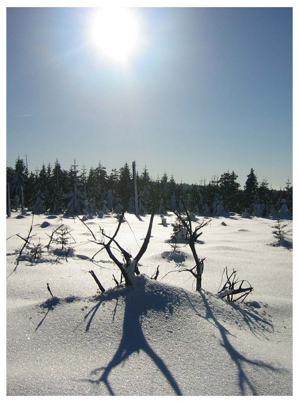 Wärme im Schnee