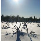 Wärme im Schnee