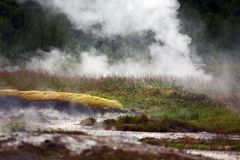 Wärme im Überfluss