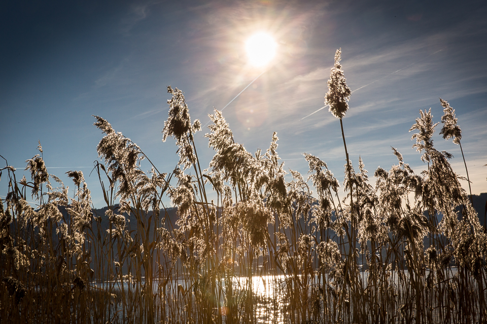 Wärmen in der Wintersonne