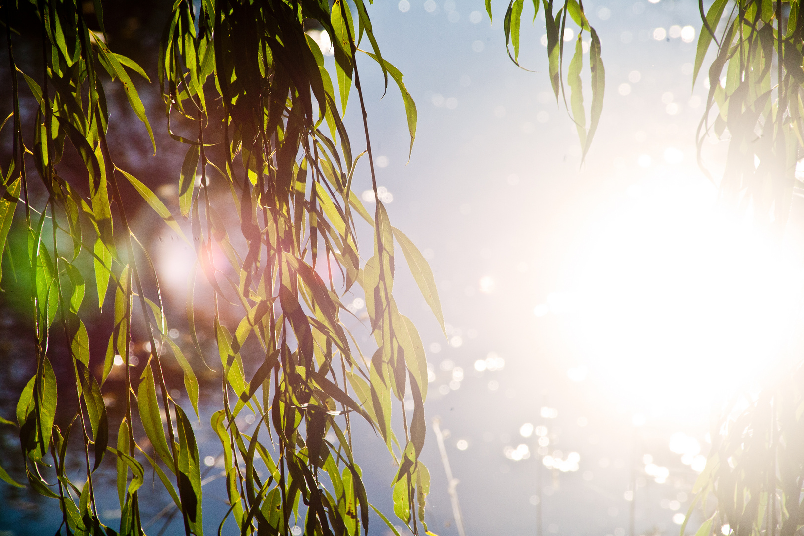 Wärmende Herbstsonne