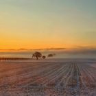 Wärmende Sonne an einem kalten Wintertag