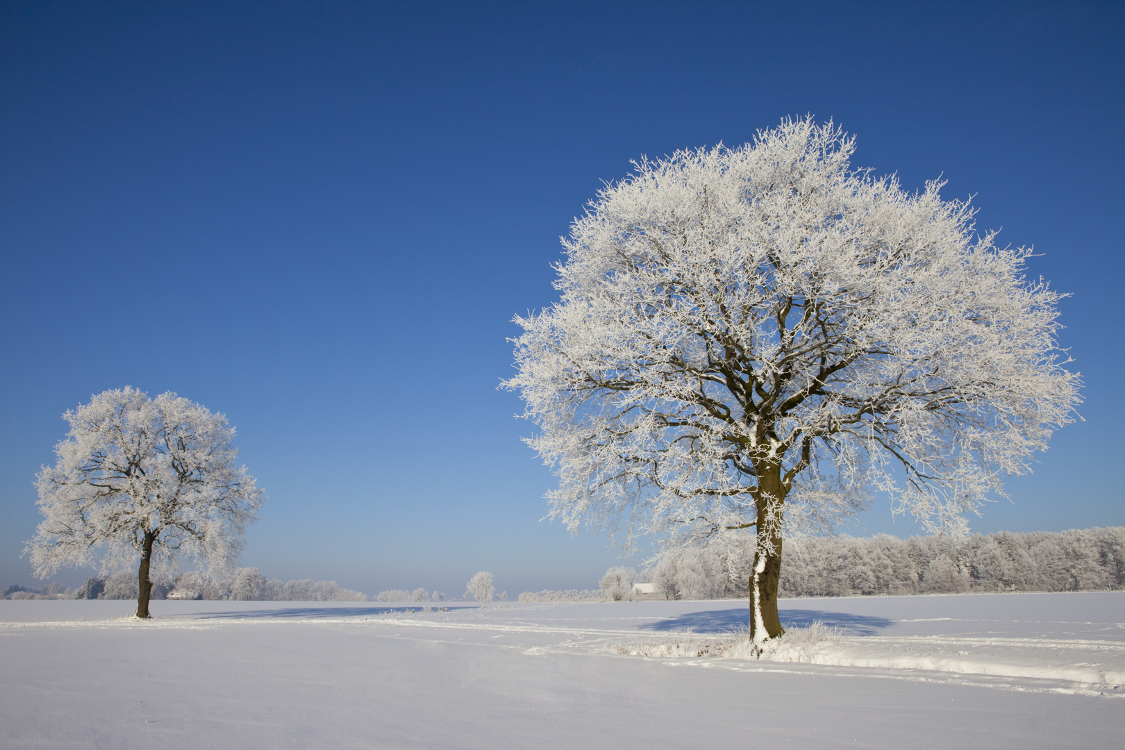 wärmende Sonne