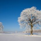 wärmende Sonne