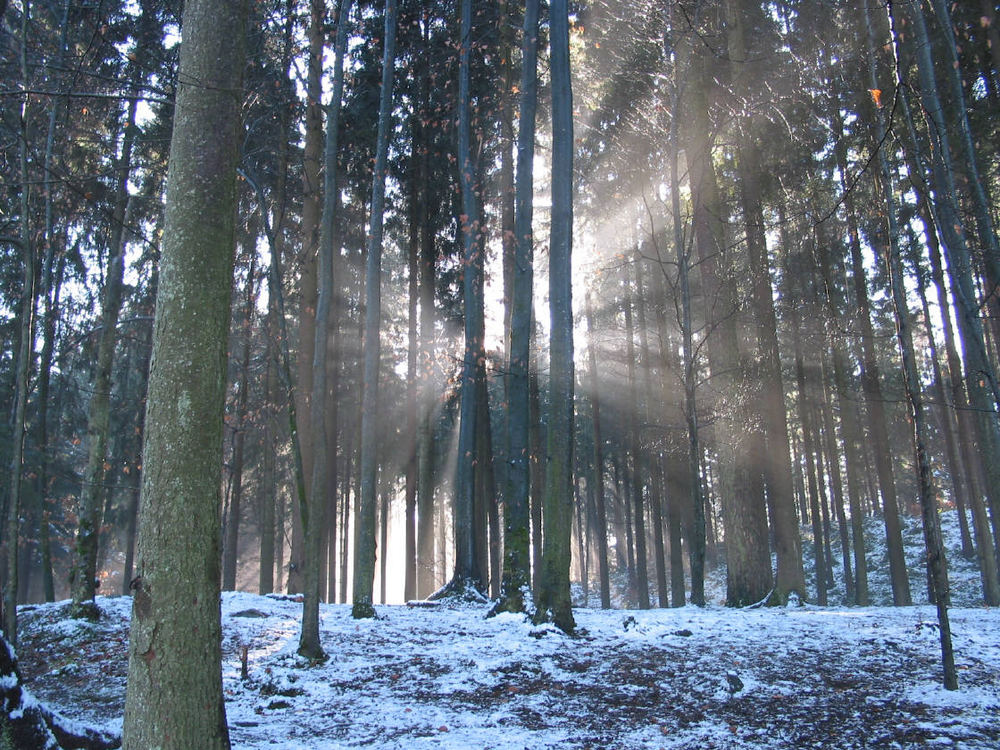 Wärmende Sonne im Winter