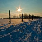 Wärmende Sonnenstrahlen als Begleiter auf dem winterlichen Weg