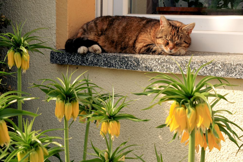 Wärmende Sonnenstrahlen genießen