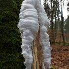 Wärmende Wollhose aus Naturfasern ? Eiswolle / Haareis