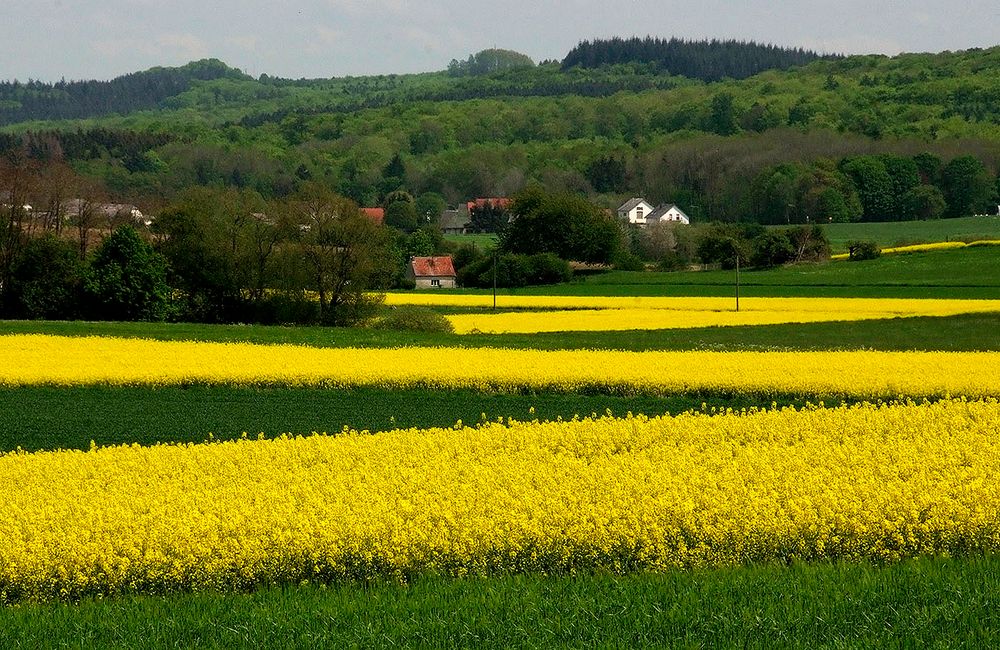 Wärmer, aber weiterhin feucht ...