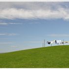 Wäsche im Hallig-Wind