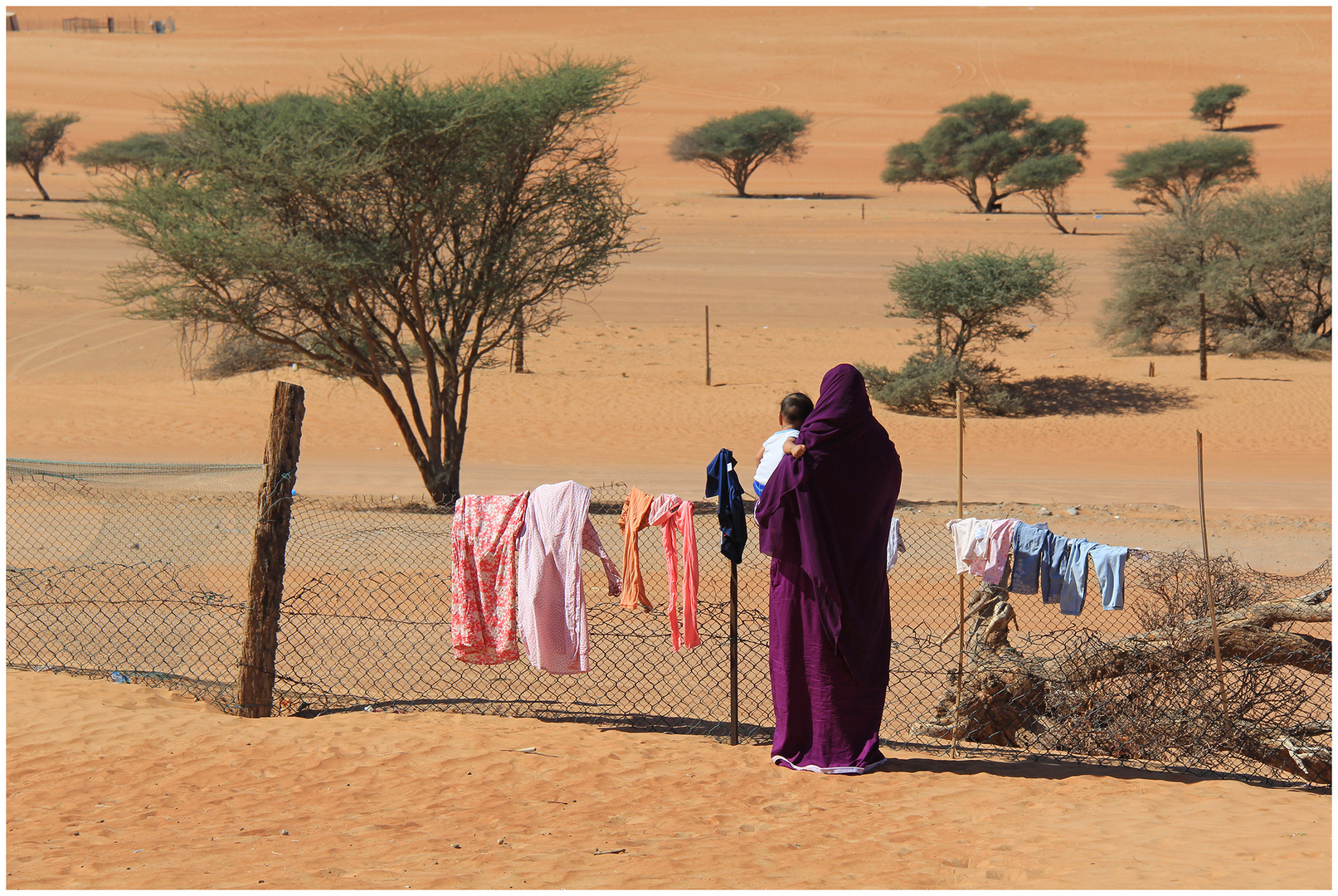 Wäschetrockner.... Foto & Bild | nature, world, wasser Bilder auf