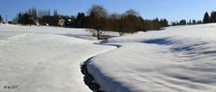 Wässerchen durch den Schnee