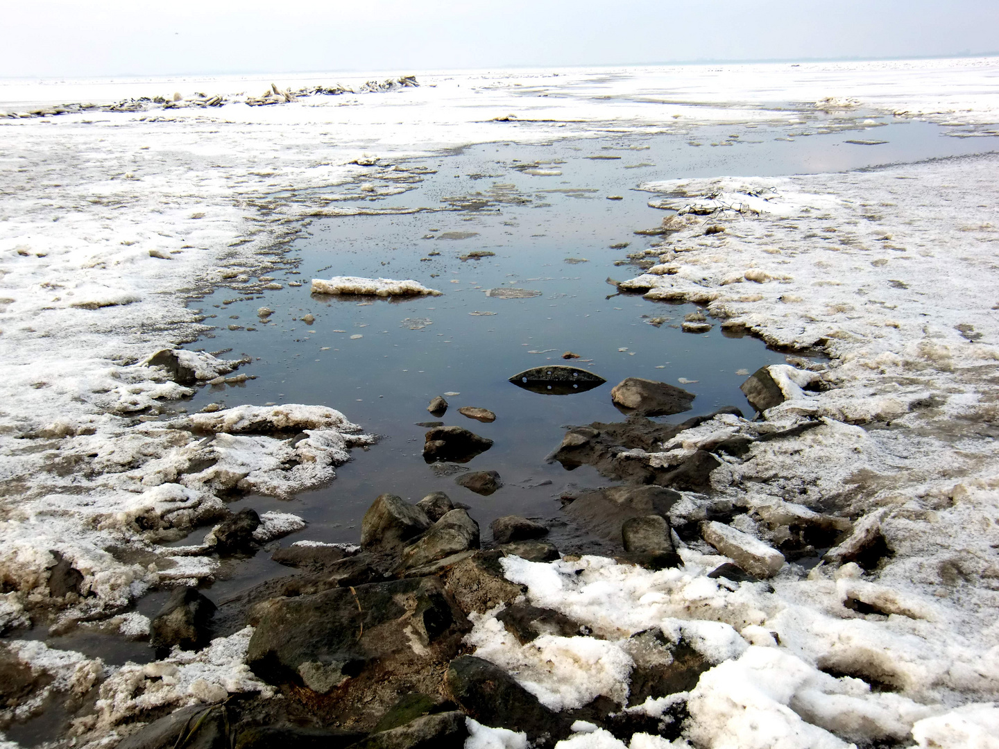 Wässerchen in Dangast im Eis