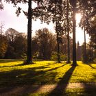 Wätjen Park, Bremen