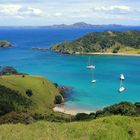 Waewaetorea Island (Bay of Islands)