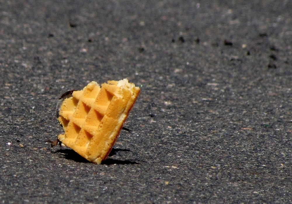 waffel auf der flucht.........