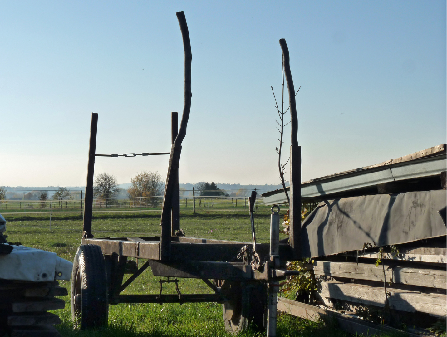 Wagen im Gegenlicht