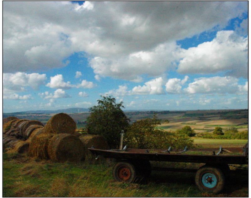 Wagen im Leininger Land