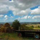 Wagen im Leininger Land