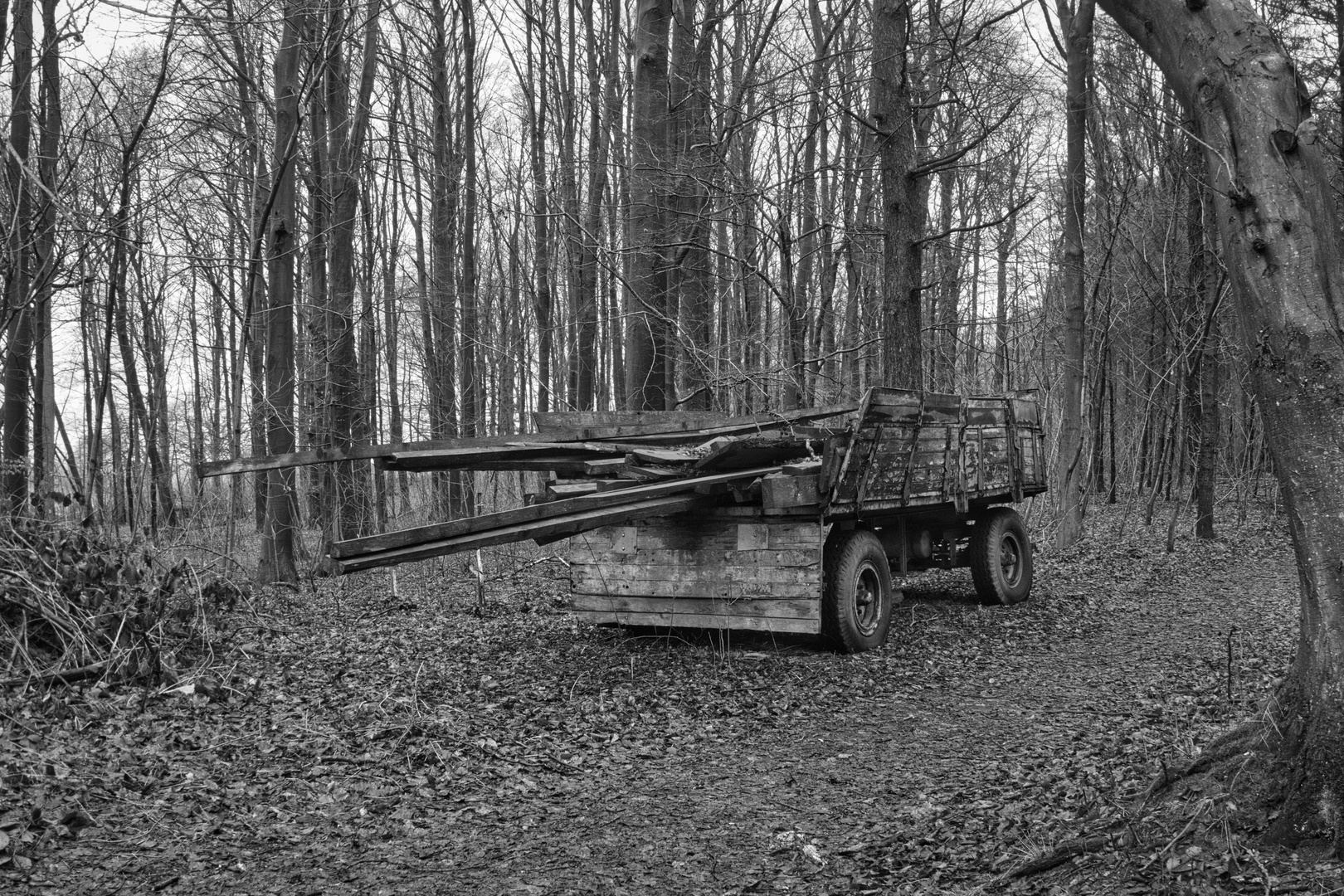 Wagen im Wald SW