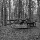 Wagen im Wald SW