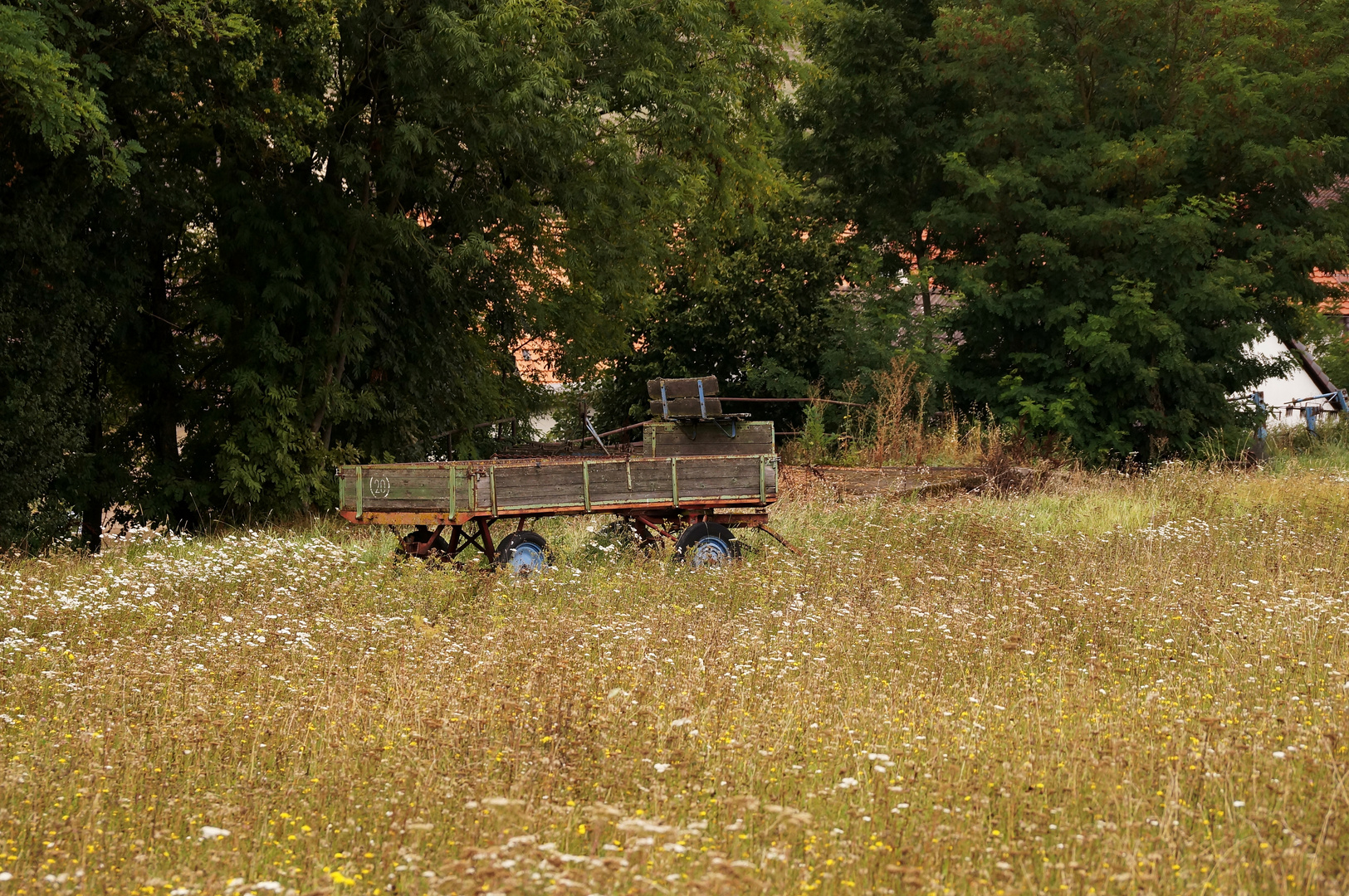 Wagen in der Wiese