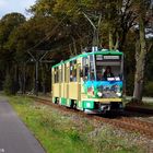 Wagen21 im Herbst