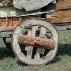 Wagenrad aus Holz - Zugtier ist ein Yak