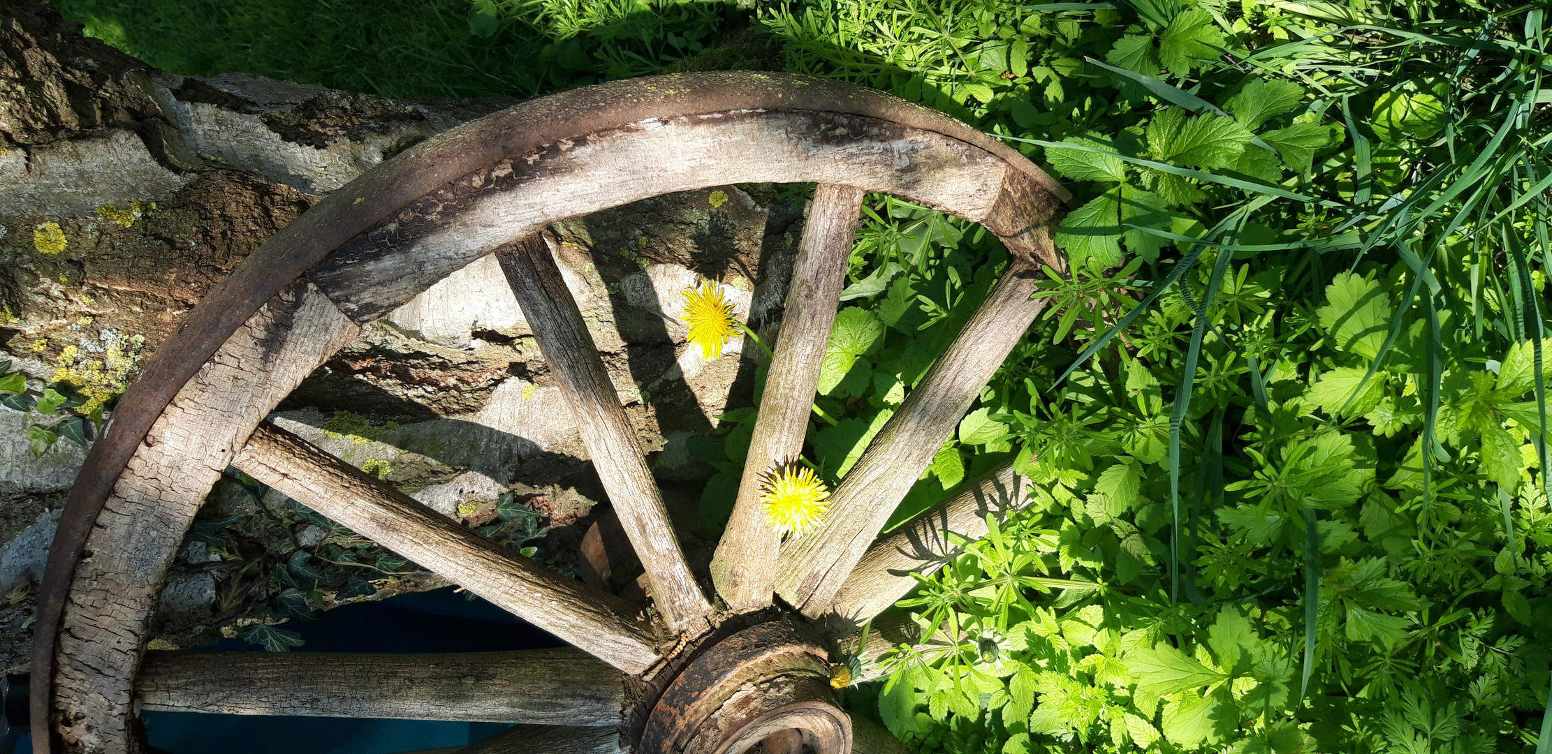 Wagenrad vergangener Zeit