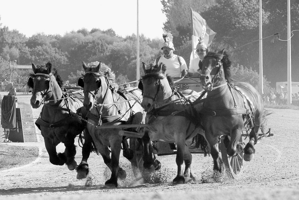 Wagenrennen - Auf den Spuren von Ben Hur I