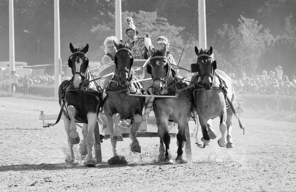 Wagenrennen - Auf den Spuren von Ben Hur III